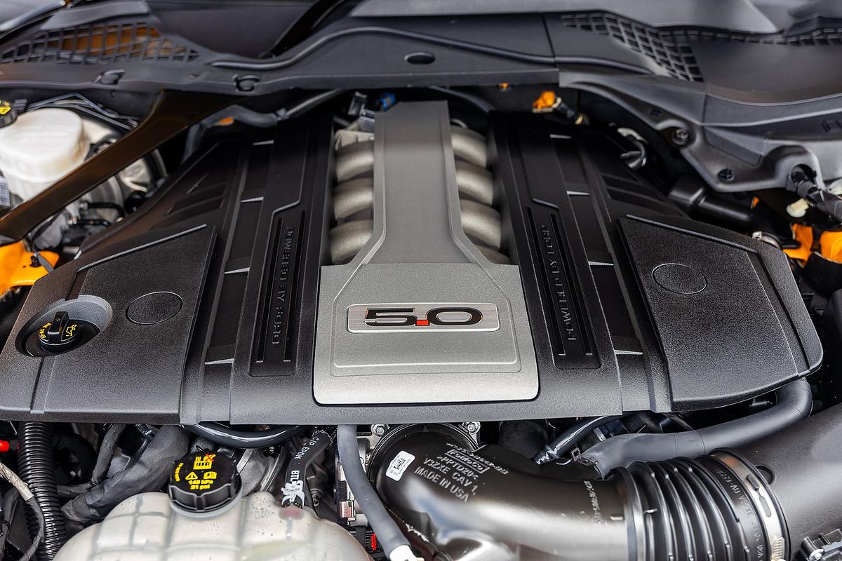 2019 Ford Mustang GT FN