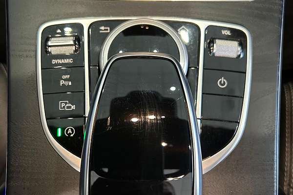 2019 Mercedes-Benz C-Class C300 S205