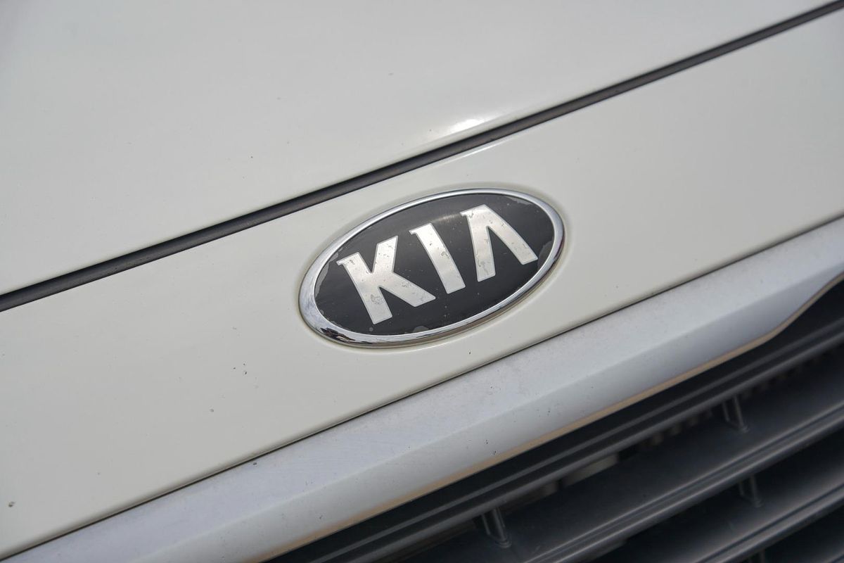 2016 Kia Carnival S YP