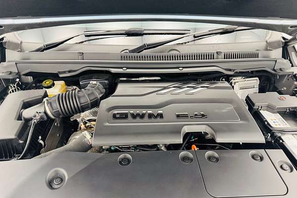 2024 GWM Ute Cannon NPW 4X4
