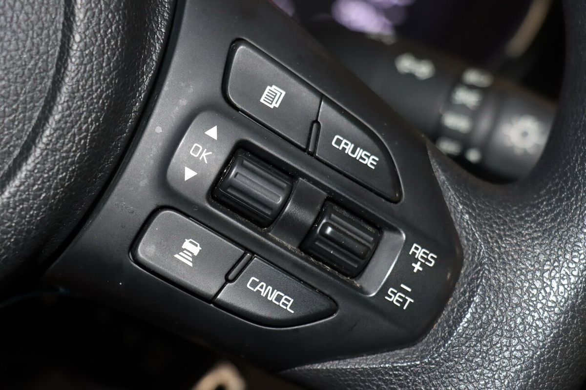 2019 Kia Carnival S YP