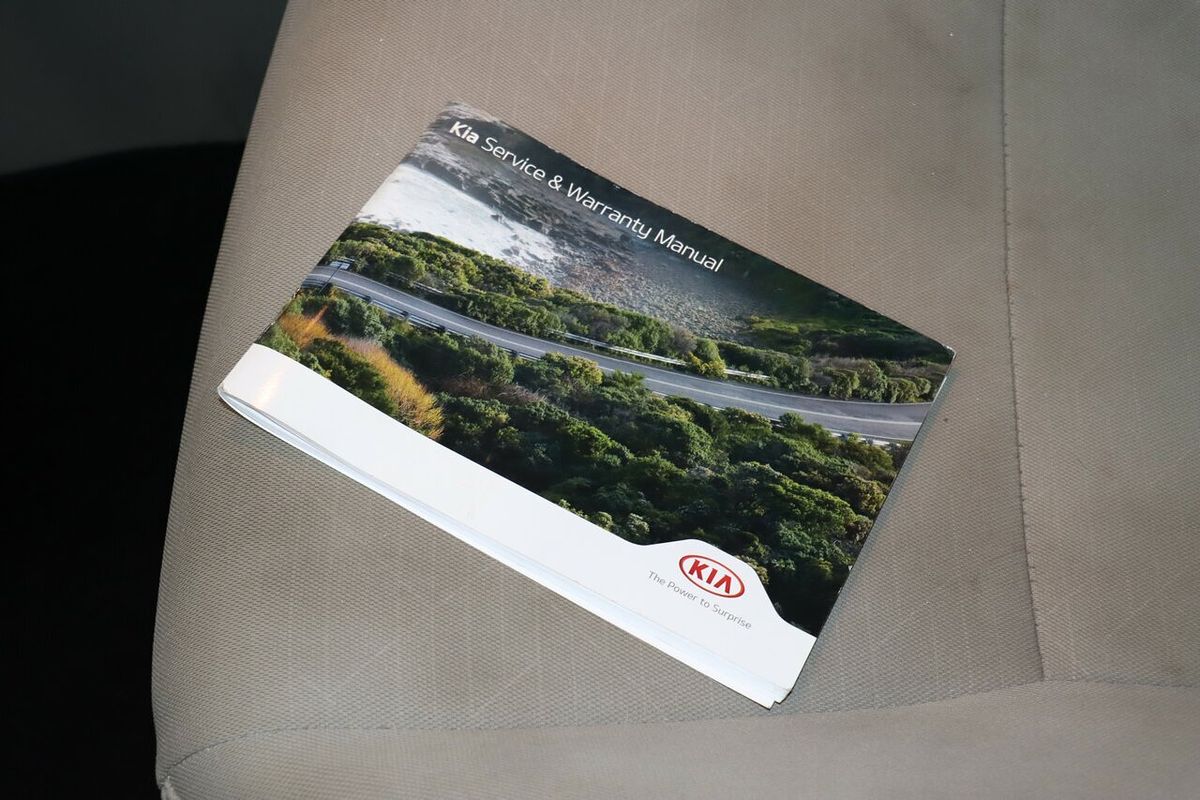 2019 Kia Carnival S YP