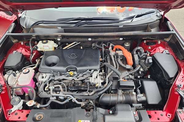 2021 Toyota RAV4 Cruiser AXAH54R