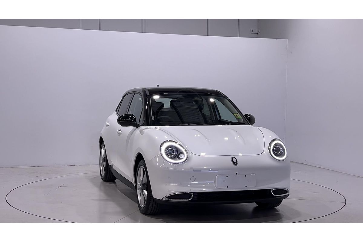 2024 GWM Ora Extended Range ES11