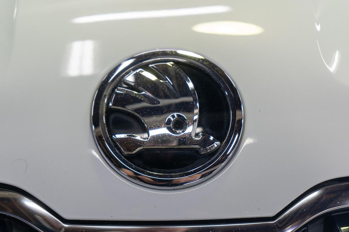 2019 SKODA Karoq 110TSI NU