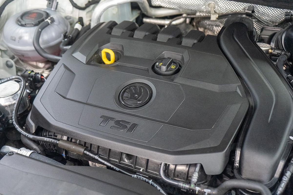 2019 SKODA Karoq 110TSI NU