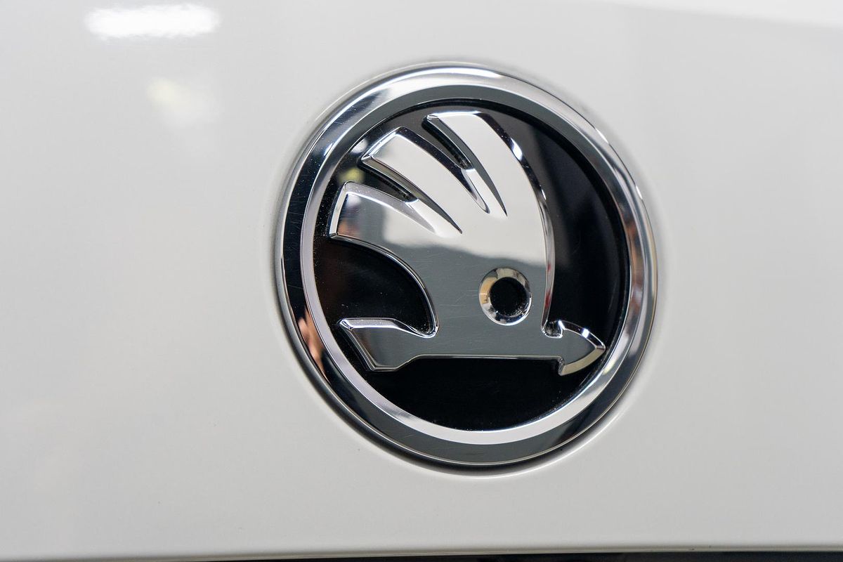 2019 SKODA Karoq 110TSI NU