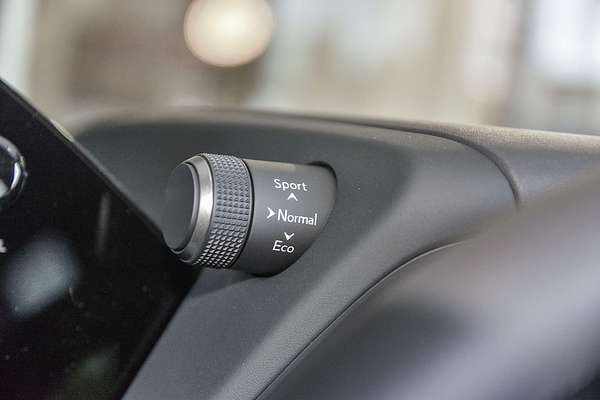 2023 Lexus UX UX300e Sports Luxury KMA10R