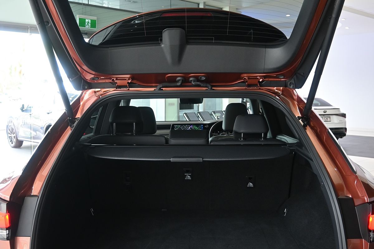 2023 Lexus RX350