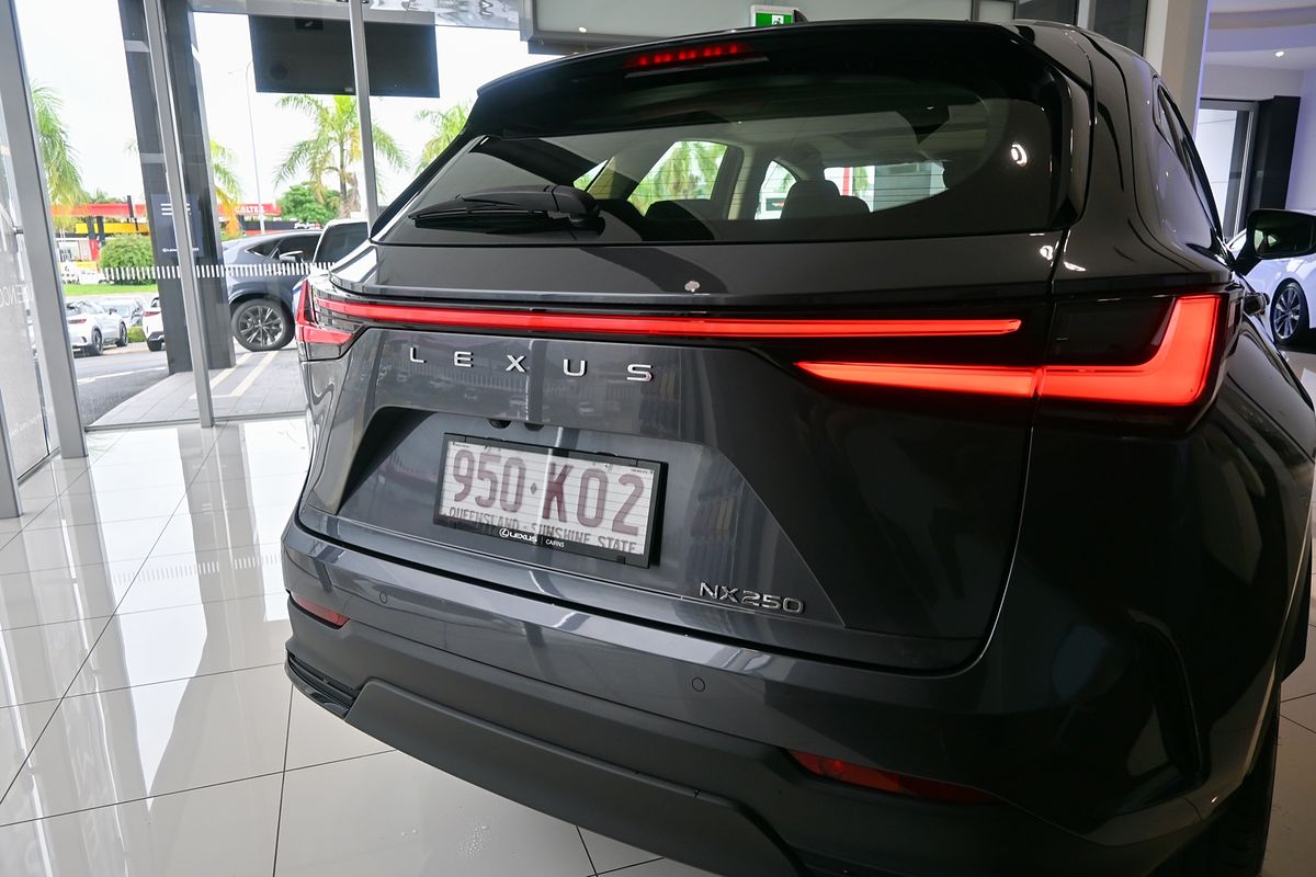 2023 Lexus NX250