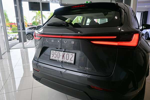 2023 Lexus NX250