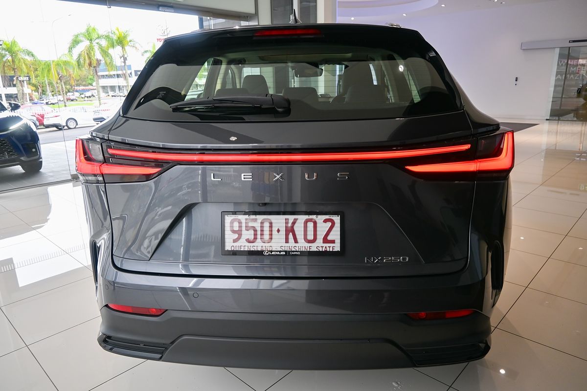 2023 Lexus NX250