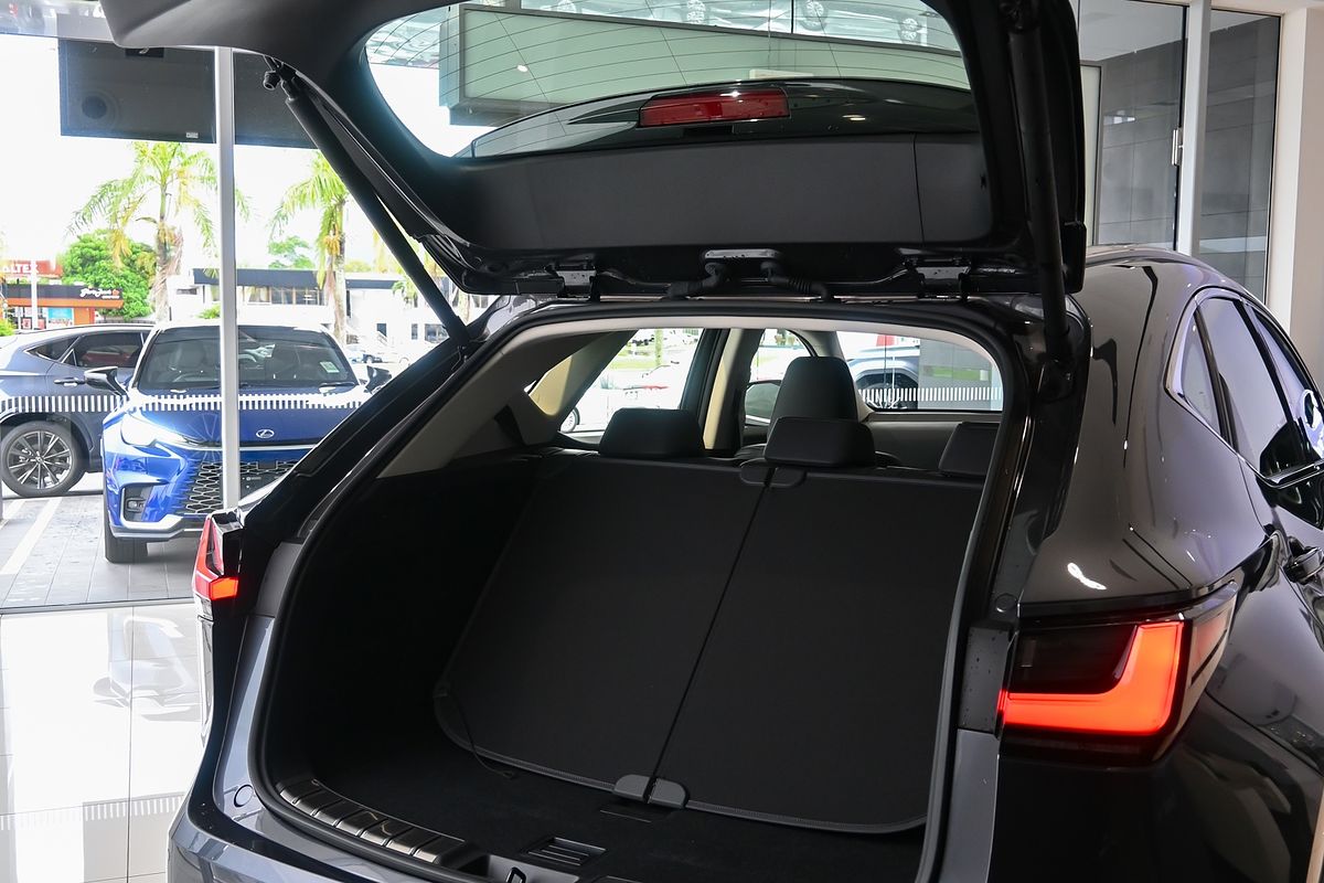 2023 Lexus NX250