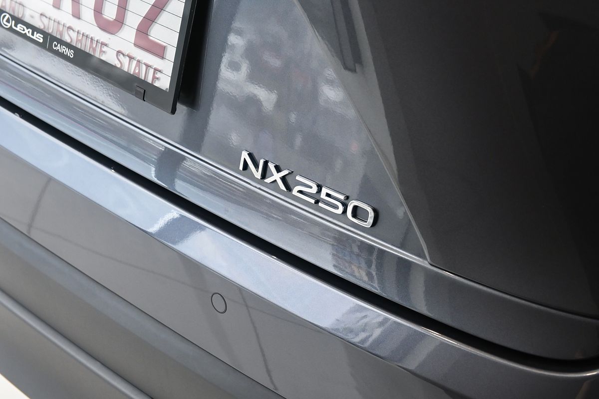 2023 Lexus NX250