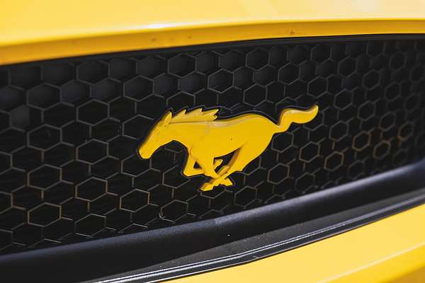 2016 Ford Mustang GT FM