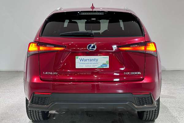 2020 Lexus NX NX300h F Sport AYZ10R