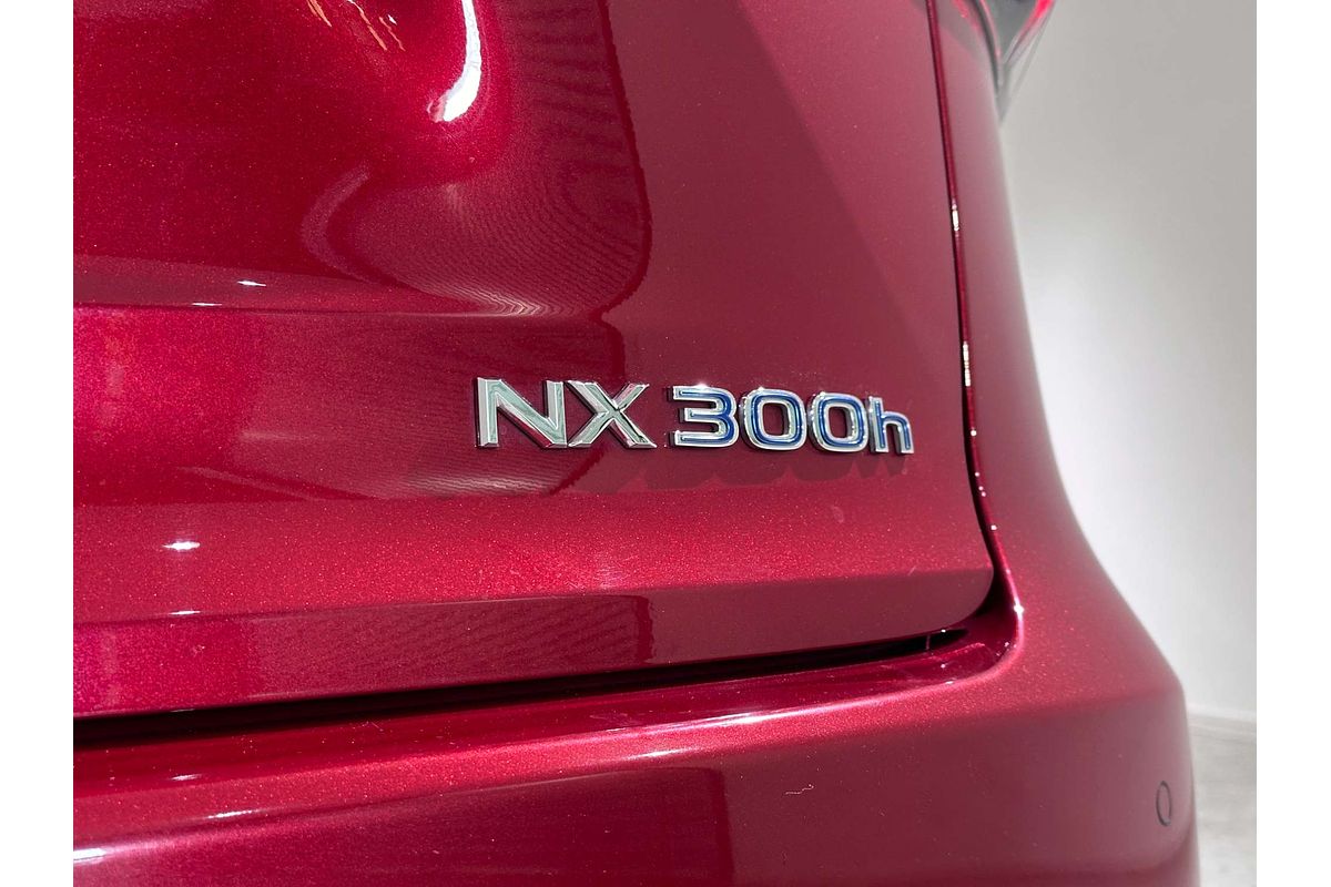 2020 Lexus NX NX300h F Sport AYZ10R