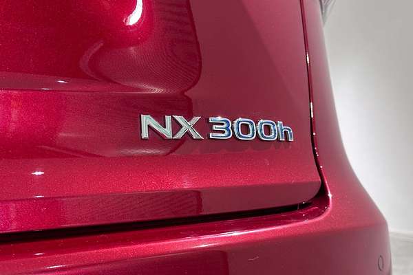 2020 Lexus NX NX300h F Sport AYZ10R