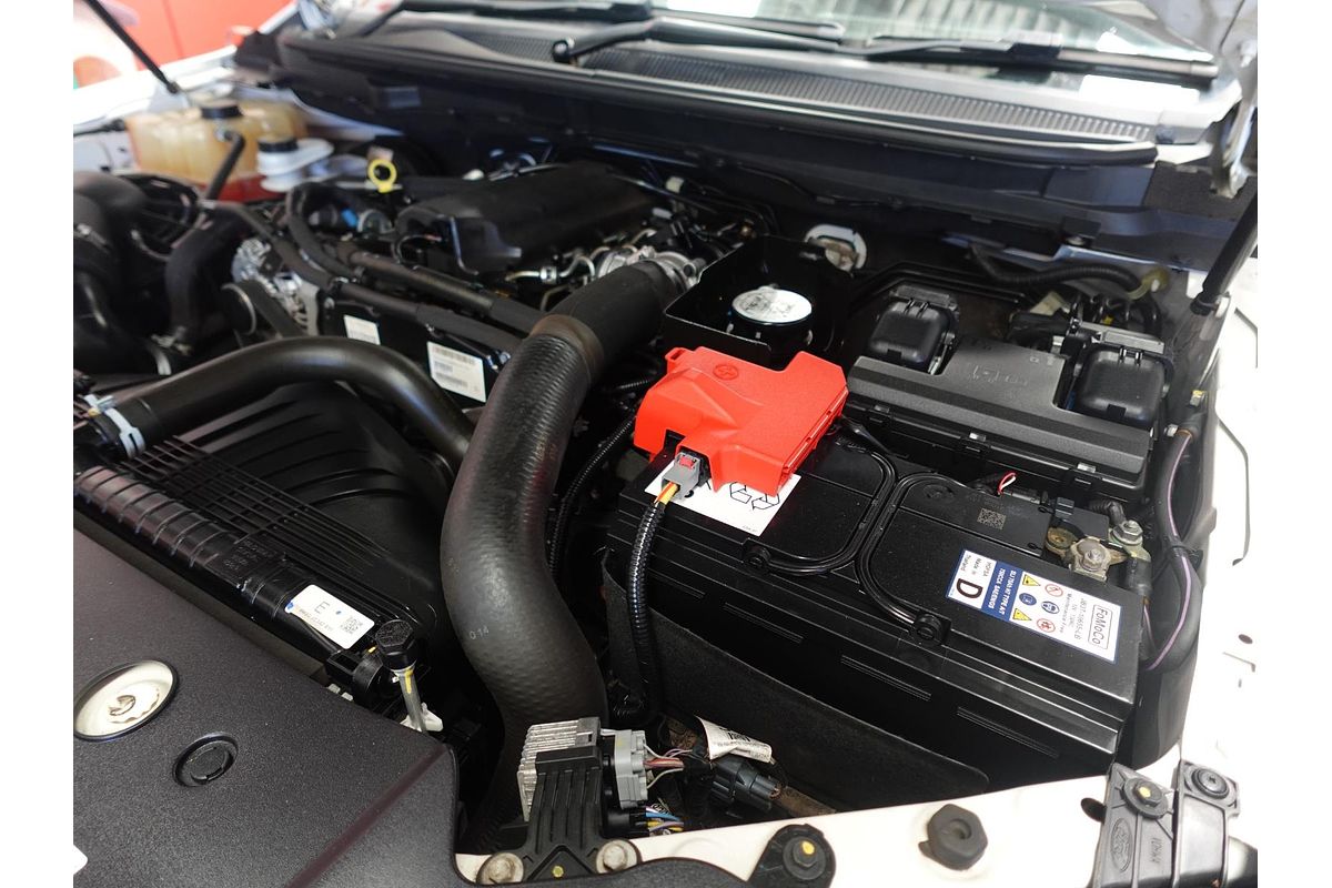 2021 Ford Ranger XL Hi-Rider PX MkIII Rear Wheel Drive 2.2L