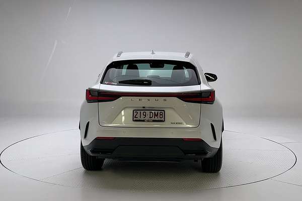 2022 Lexus NX NX250 AAZA20R