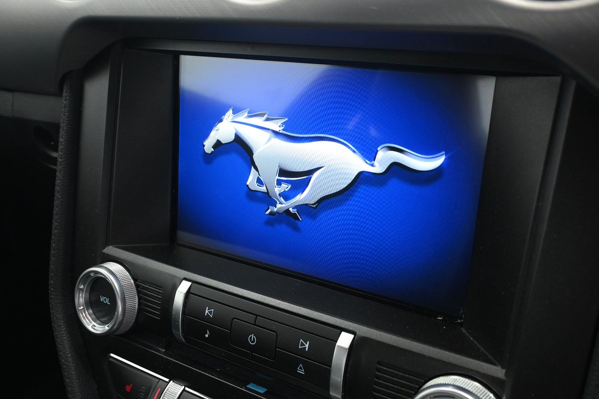 2021 Ford Mustang GT FN