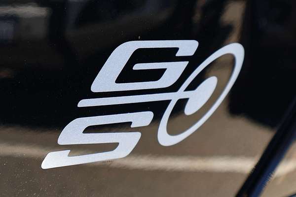 2009 Ford Performance Vehicles GS 302 FG