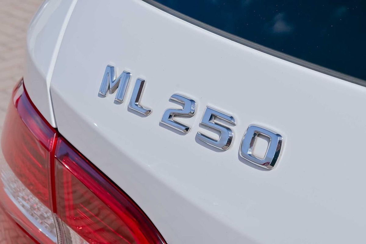 2014 Mercedes-Benz M-Class ML250 BlueTEC W166