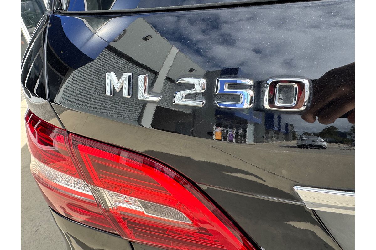 2012 Mercedes-Benz M-Class ML250 BlueTEC W166