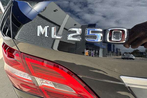 2012 Mercedes-Benz M-Class ML250 BlueTEC W166