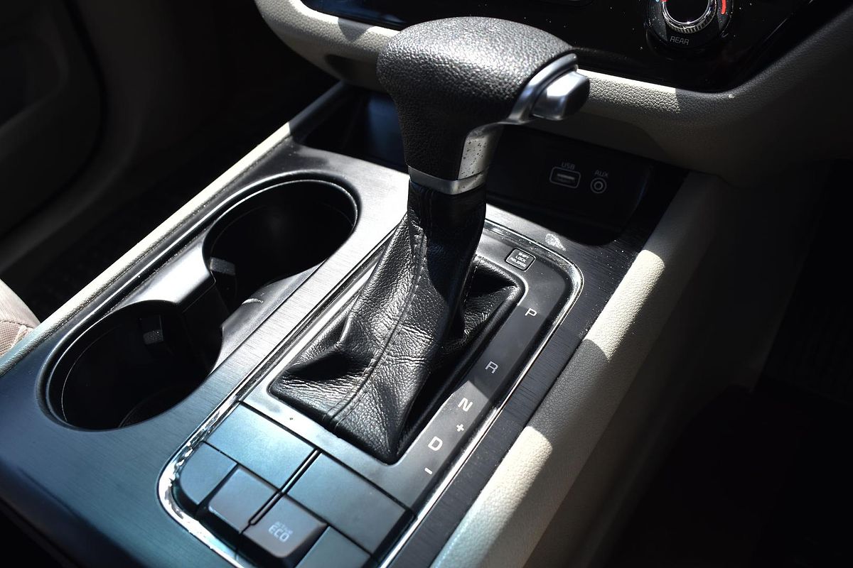2016 Kia Carnival S YP