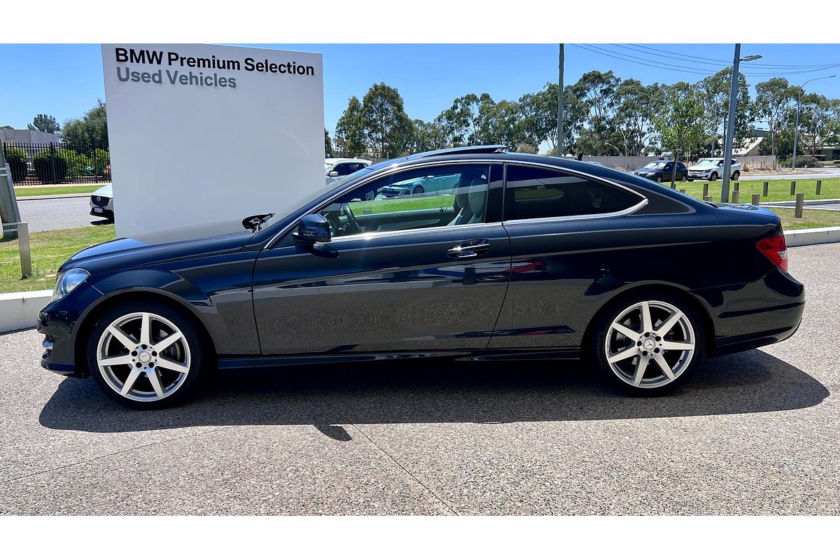 2014 Mercedes-Benz C-Class C250 C204