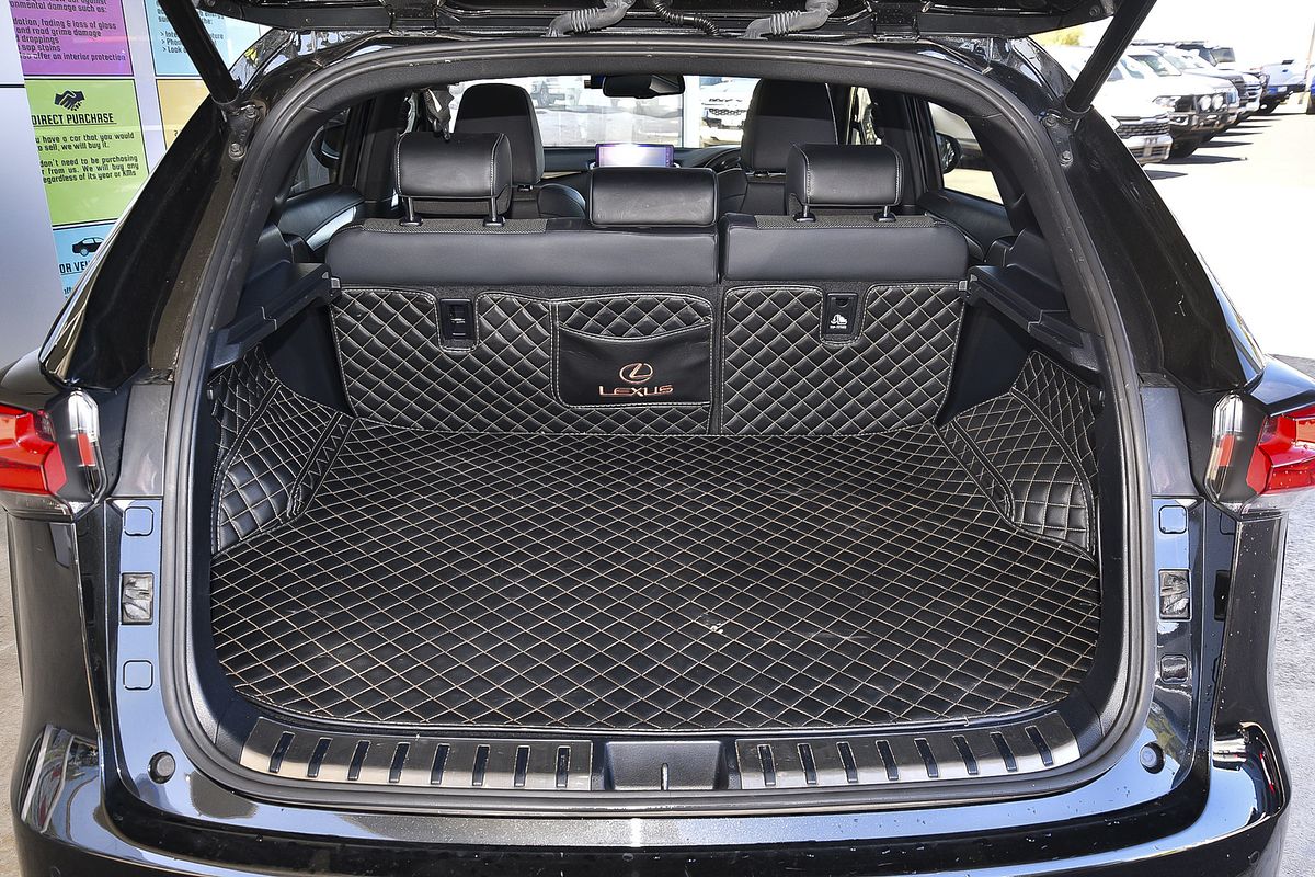 2020 Lexus NX NX300 F Sport AGZ10R