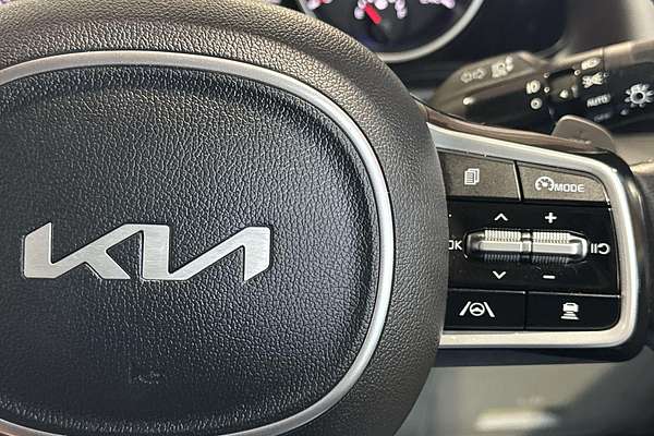 2022 Kia Carnival Platinum KA4