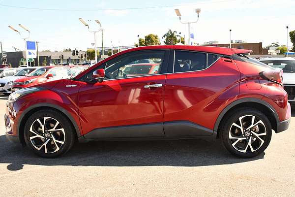 2019 Toyota C-HR Koba ZYX10R