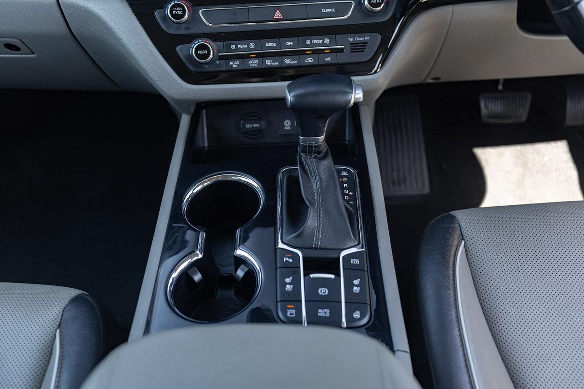 2019 Kia Carnival Platinum YP