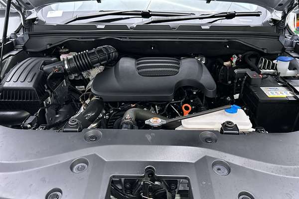 2022 GWM Ute Cannon-X NPW 4X4
