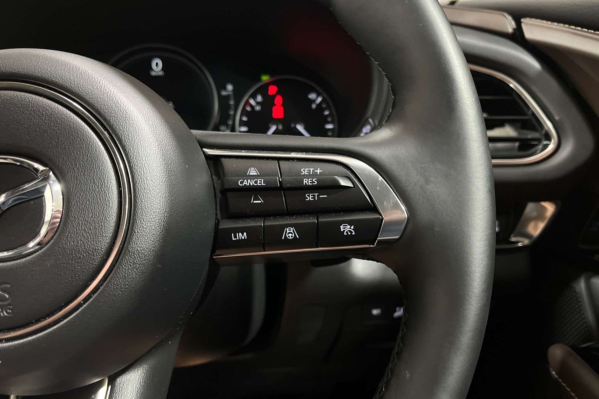 Mazda CX-30 E 6AUTO WAGON G25 ASTINA AWD