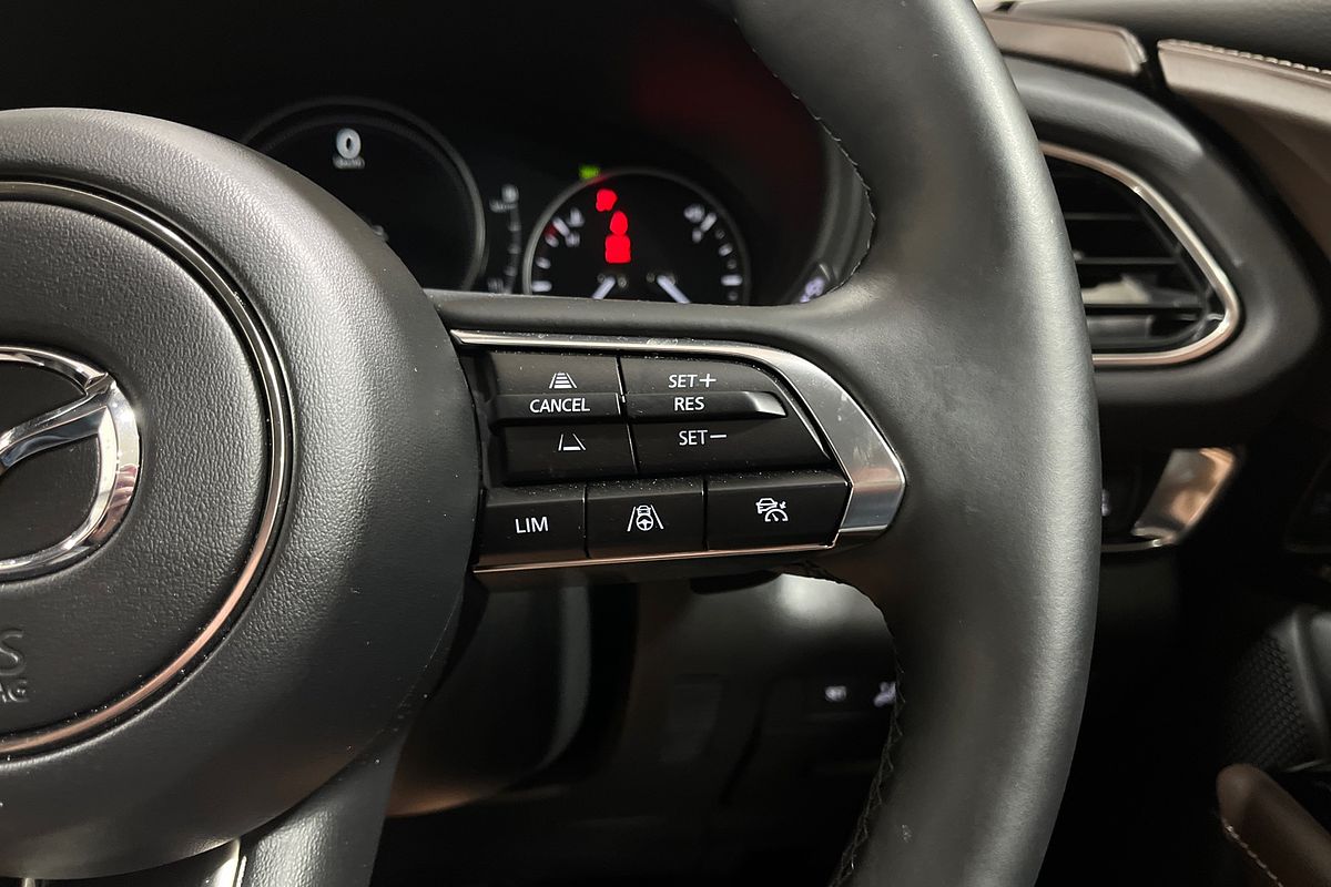 Mazda CX-30 E 6AUTO WAGON G25 ASTINA AWD