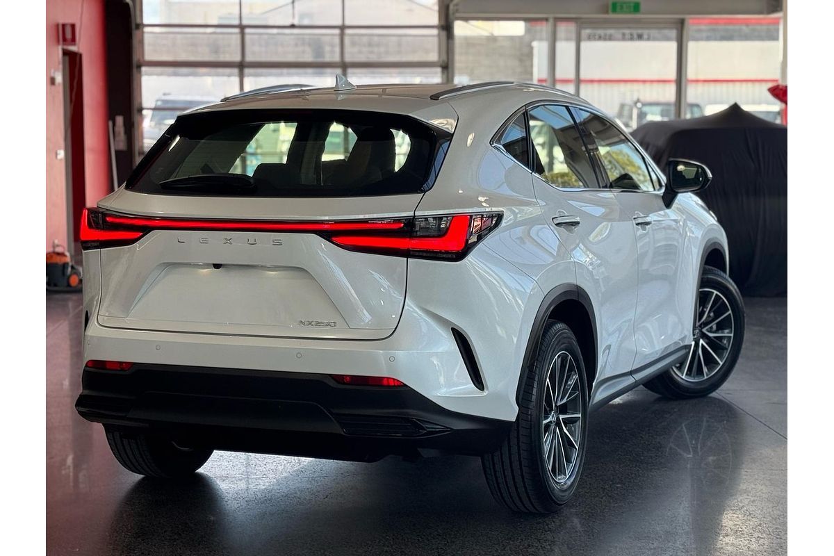 2024 Lexus NX NX250 AAZA20R