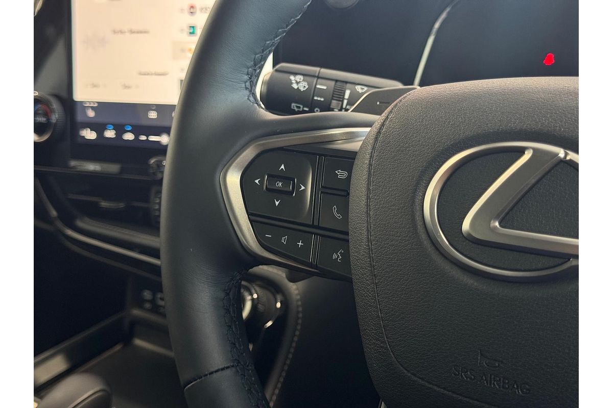 2024 Lexus NX NX250 AAZA20R