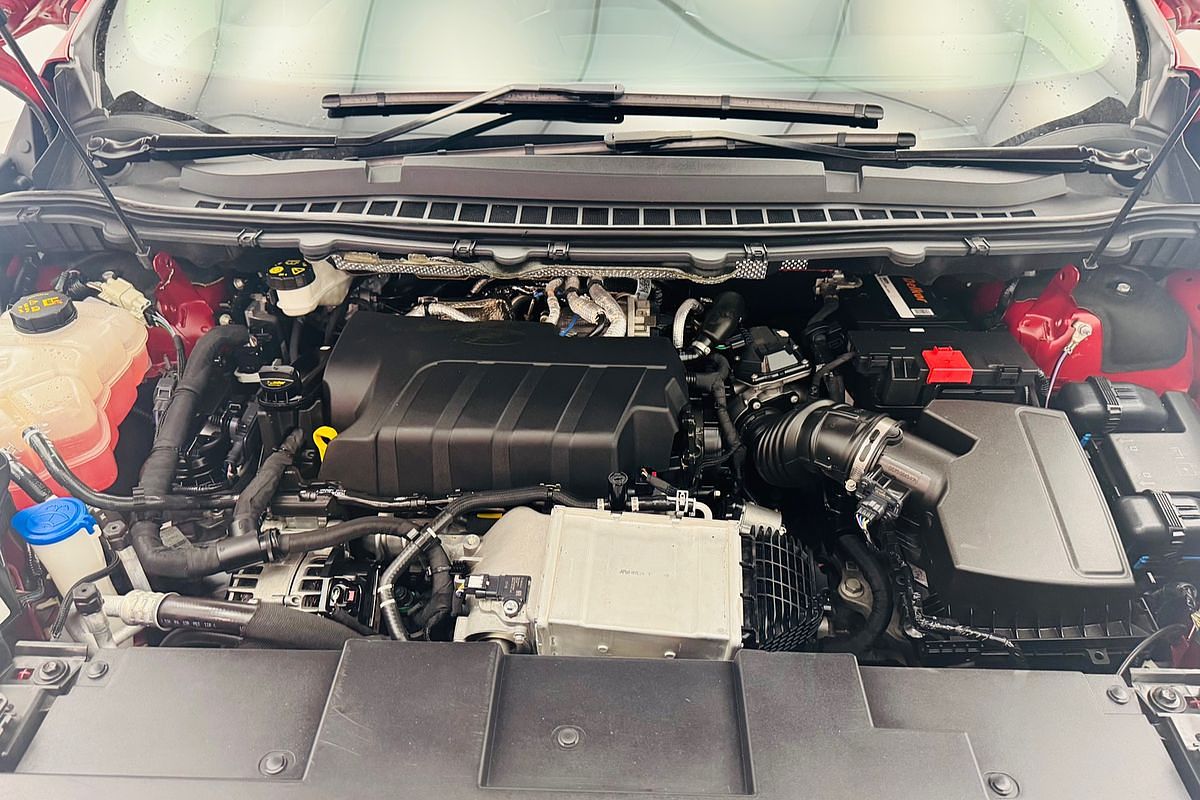 2019 Ford ENDURA