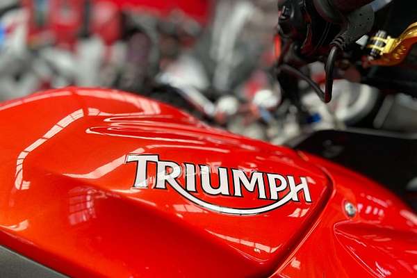 2008 Triumph TIGER 1050