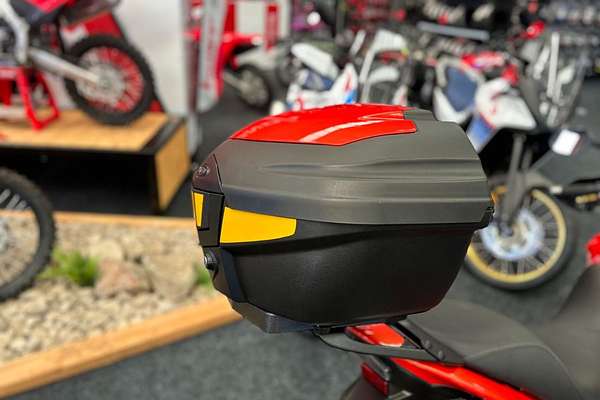 2008 Triumph TIGER 1050