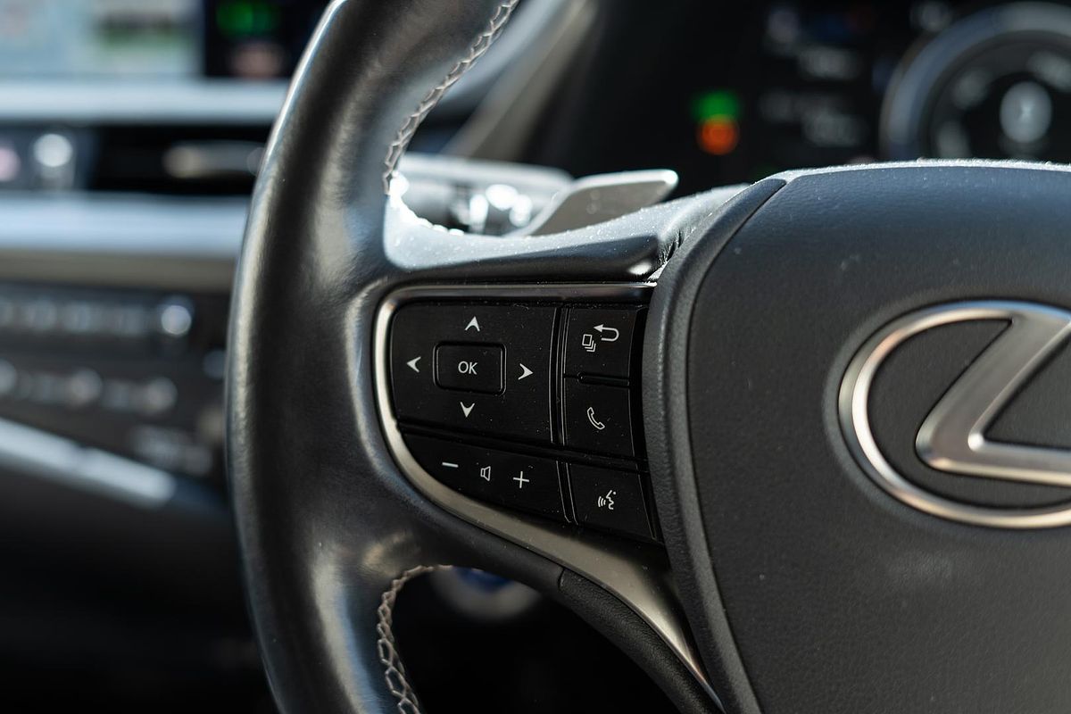 2019 Lexus ES ES300h Luxury AXZH10R