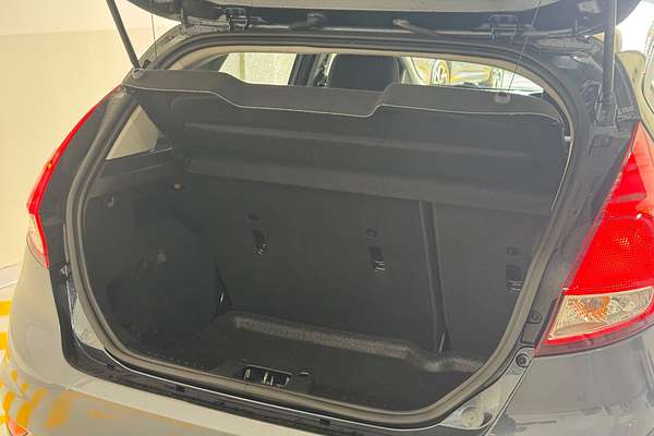 2014 Ford Fiesta Ambiente WZ