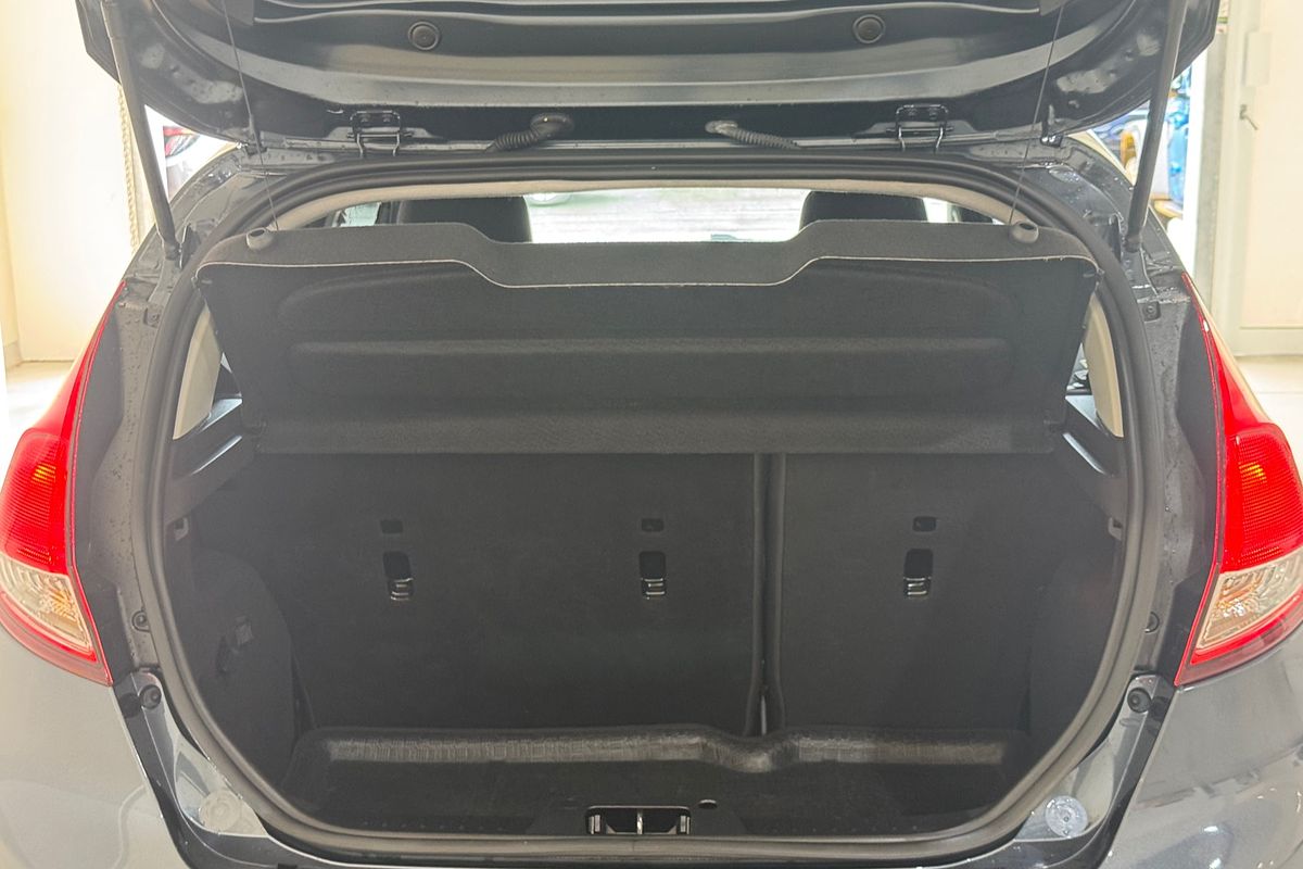 2014 Ford Fiesta Ambiente WZ