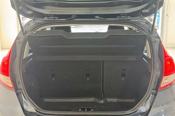 2014 Ford Fiesta Ambiente WZ