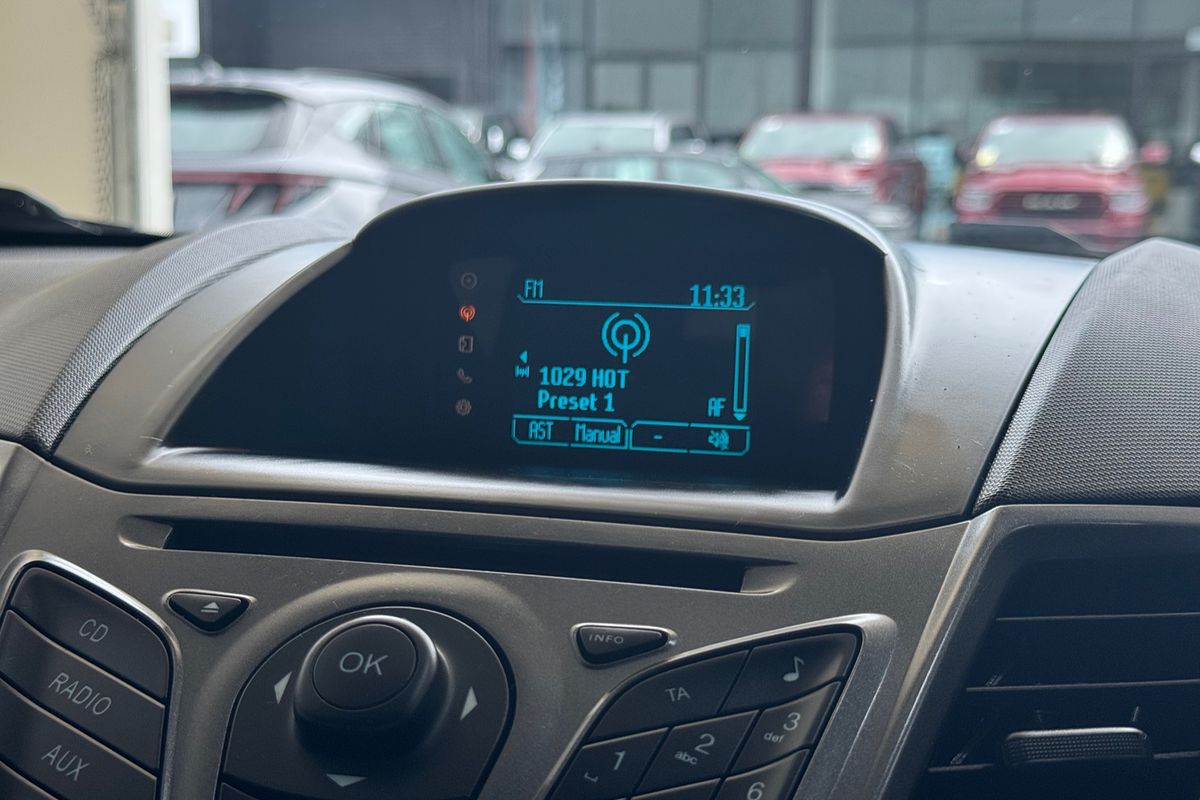 2014 Ford Fiesta Ambiente WZ