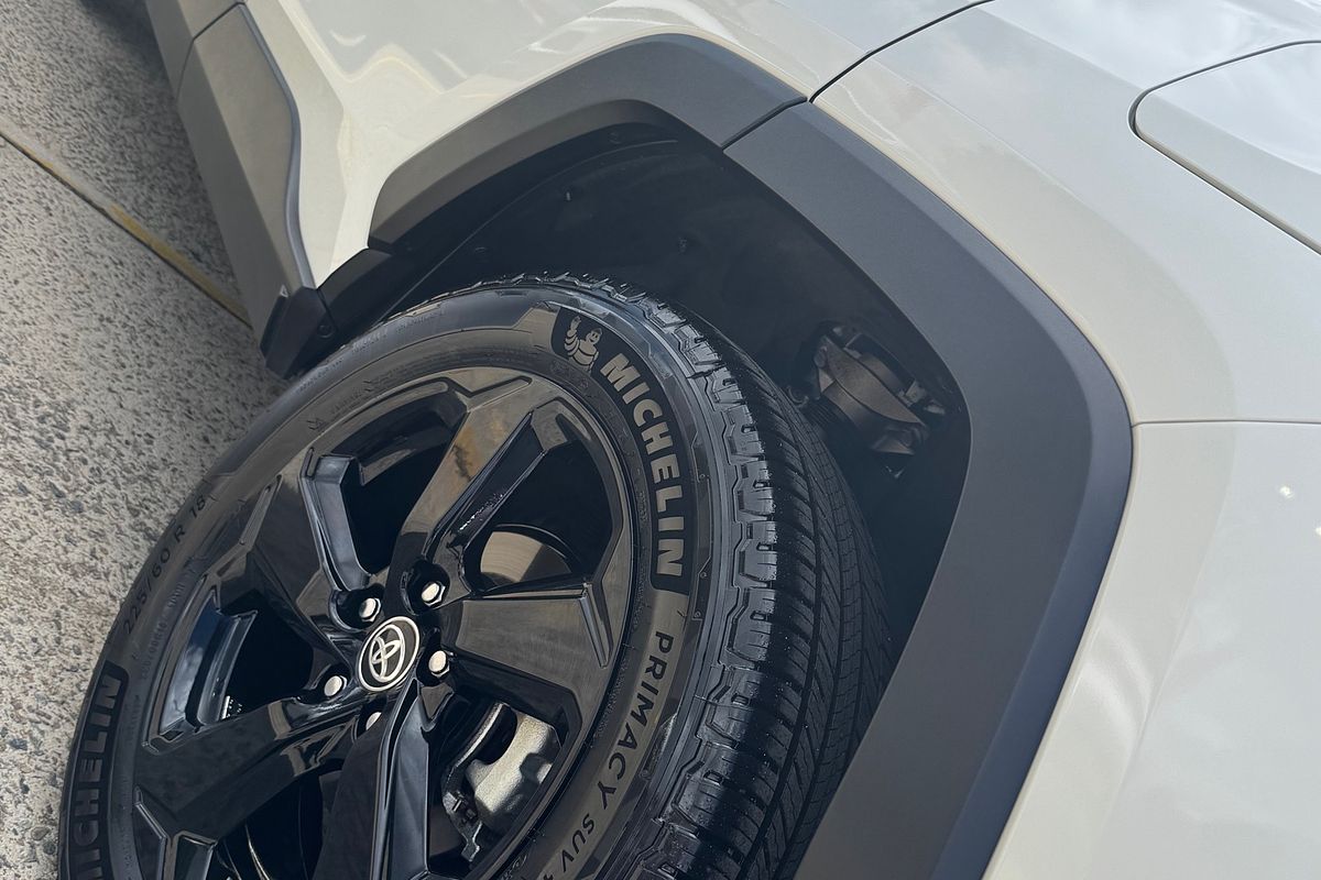 2020 Toyota RAV4 Cruiser AXAH52R