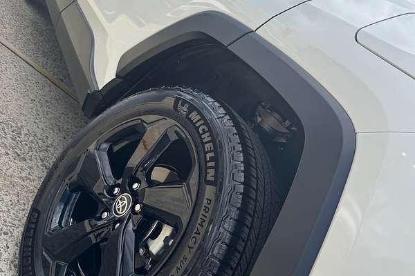 2020 Toyota RAV4 Cruiser AXAH52R